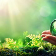 Sustainability in Dentistry